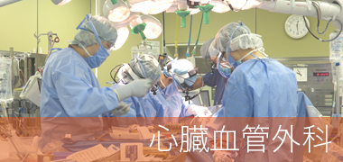 心臓血管外科